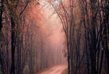 王欣瑜、郑赛赛晋级澳网女双16强央视新闻客户端.