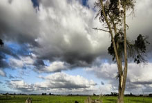 皇马历史上最伟大的七号和最差的七号都是谁应该没人会质疑吧.