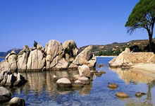 [英超]握手言和 切尔西主场战平阿森纳.